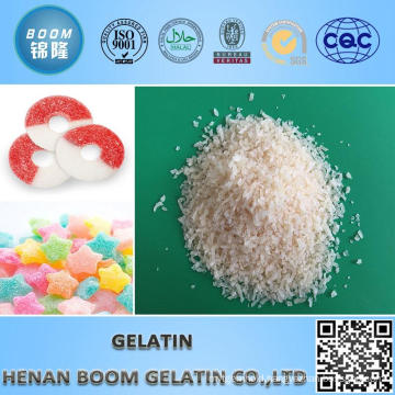 80 Mesh to 280 Mesh Organic Gelatin